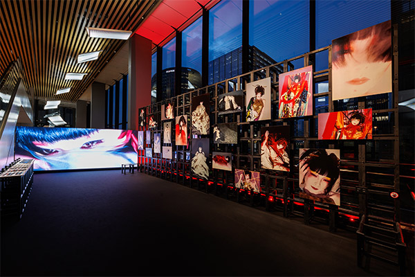 BridgeLink | 導入事例1　「山口小夜子」のミュージアム